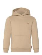 Po-Pull-Over Hoody Beige Levi's