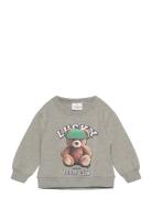 Tnstpippin Os Sweatshirt Grey The New