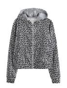 Sweatshirt Velour With Hoodie Grey Lindex