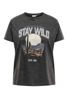 Carlucy Life Reg S/S Top Jrs Noos Grey ONLY Carmakoma