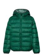 Hooded Jacket Green Champion