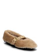 Toasty Beige Steve Madden