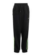 Pants Black Adidas Originals