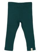 Legging Modal Green Petit Piao