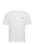 Mapleton Ss Tee White Dickies