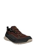 Ult-Trn M Brown ECCO