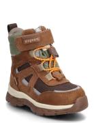 Bisgaard Bruce Tex Brown Bisgaard