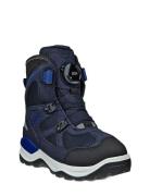 Snow Mountain Navy ECCO