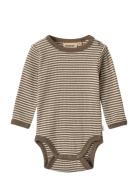Wool Body L/S Lucca Beige Wheat