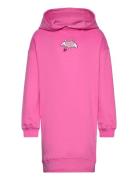 Tnpetrina Os Sweat Dress Pink The New