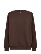 Sc-Banu Brown Soyaconcept