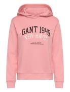 Reg Arch Print Hoodie Pink GANT