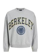 Jorberkeley Sweat C.n Styd Ss25 Grey Jack & J S