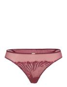 Legend Tanga Pink CHANTELLE