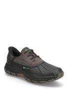 Men Respected Tanzier Brown Skechers