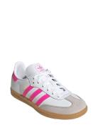 Samba Og C Pink Adidas Originals