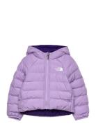 Kid Reversible Perrito Hooded Jacket Purple The North Face
