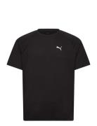 Evostripe Tee Black PUMA