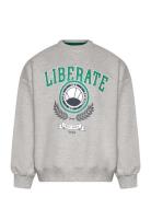 Tnpenno Os Sweatshirt Grey The New