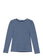 T-Shirt Ls Rib Stripe Blue Creamie