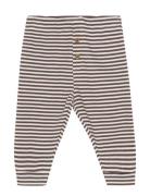 Pants Y/D Rib Brown Minymo