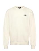 Summerdale Sweater Cream Dickies