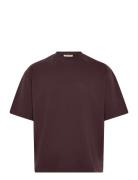 Verdant Reverie Tee Brown Prohibited