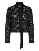Eurydyke Black HUGO