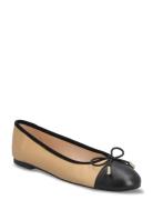 Highest Black Dune London