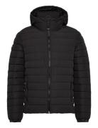 Hooded Fuji Padded Jacket Black Superdry