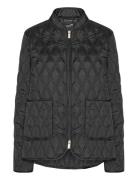 Aros06 Black Ilse Jacobsen