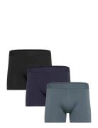 Claudio 3-Pack Tights Black Claudio