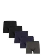 Claudio 5-Pack Tights Patterned Claudio