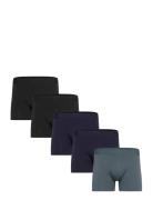 Claudio 5-Pack Tights Blue Claudio