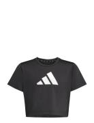 Jg Tr-Es Gl Tee Black Adidas Sportswear