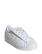 Superstar Led Lights Cf El C White Adidas Originals