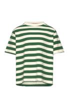 Stripes Freen Collie T-Shirt Green THE ANIMALS OBSERVATORY