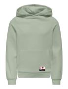 Kognoomi-Vinta Label Ls Hood Cs Swt Noos Green Kids Only