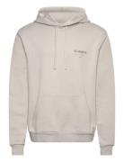 Future Oth Hoody Grey AllSaints