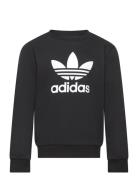 Trefoil Crew Black Adidas Originals