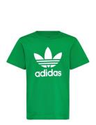 Trefoil Tee Green Adidas Originals