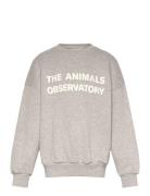 Frey Leo Sweatshirt Grey THE ANIMALS OBSERVATORY