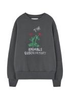 Flowers Dark Frey Bear Sweatshirt Grey THE ANIMALS OBSERVATORY