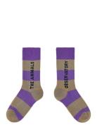 Purple Worm Socks Purple THE ANIMALS OBSERVATORY