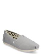 Alpargata Classic Grey TOMS