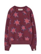 Stars Shark Sweatshirt Burgundy THE ANIMALS OBSERVATORY