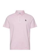 Heritage Stripe Polo Pink Original Penguin Golf