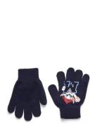 Gloves Navy Paw Patrol