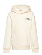 Graphic Hoodie Cream GANT