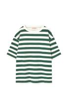 Stripes Freen Collie T-Shirt Green THE ANIMALS OBSERVATORY
